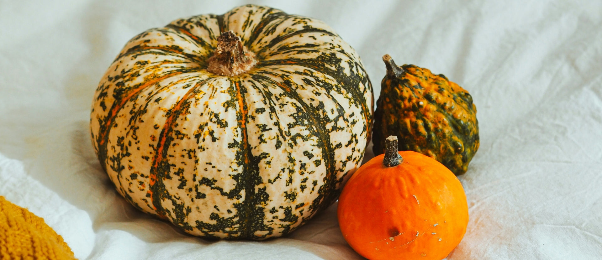 Best Halloween Recipes