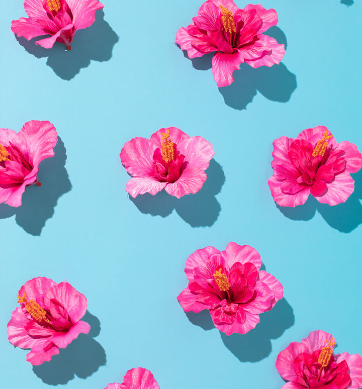 Hawaiian Blend EcoPods bright tropical coffee with hints of chocolate and nuts, featuring Hawaiian, Central & South American beans