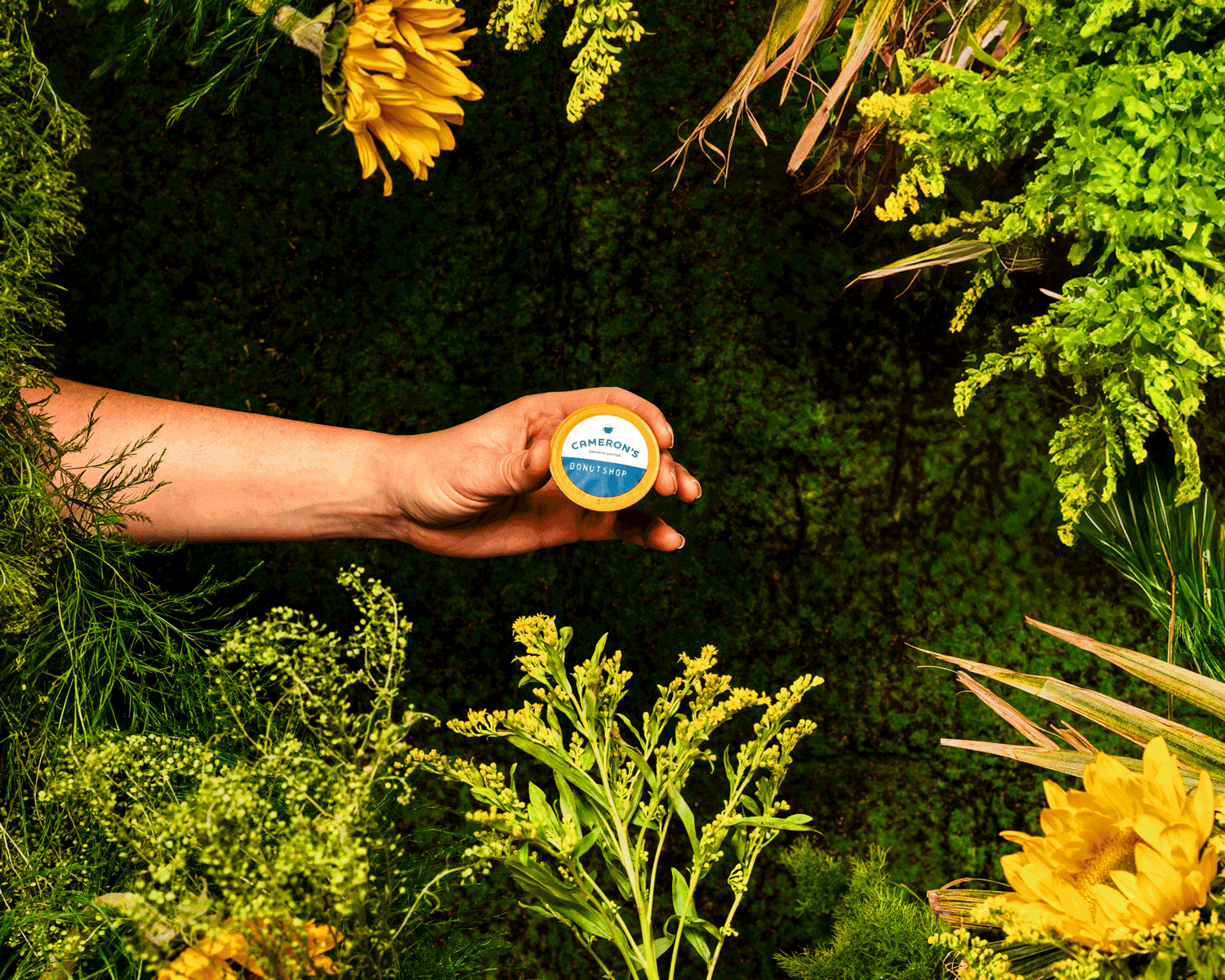 Earth theme EcoPod with hand