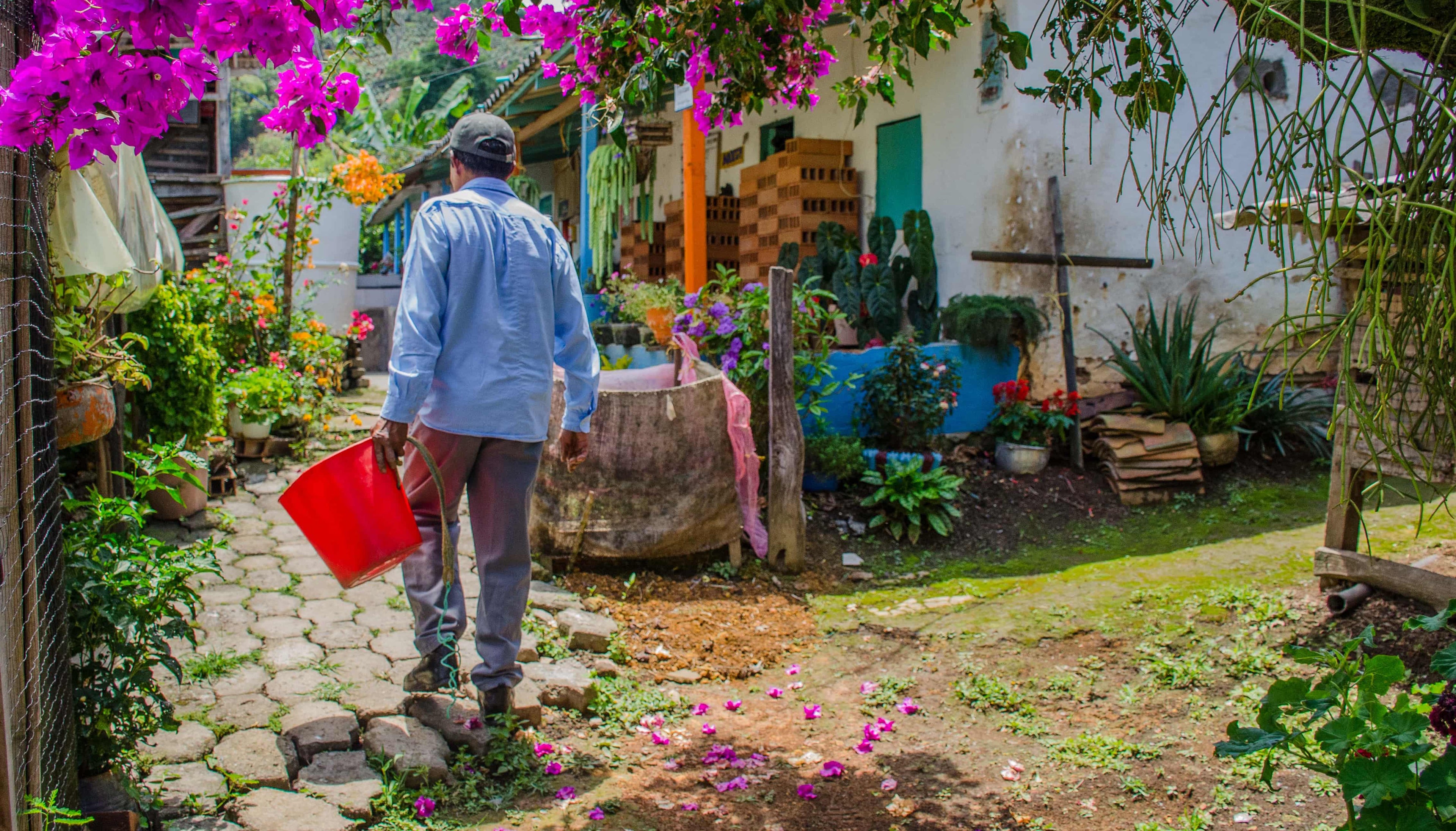 coffee farmer working surrounded by flowers