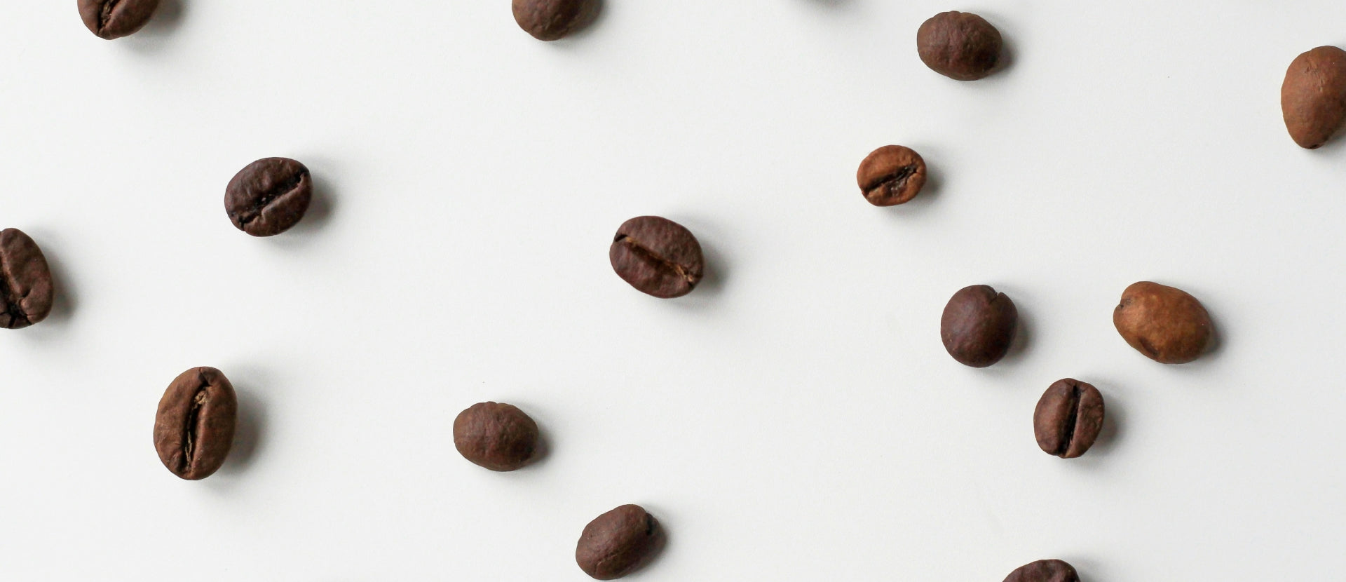 Best Coffee Roasts for You