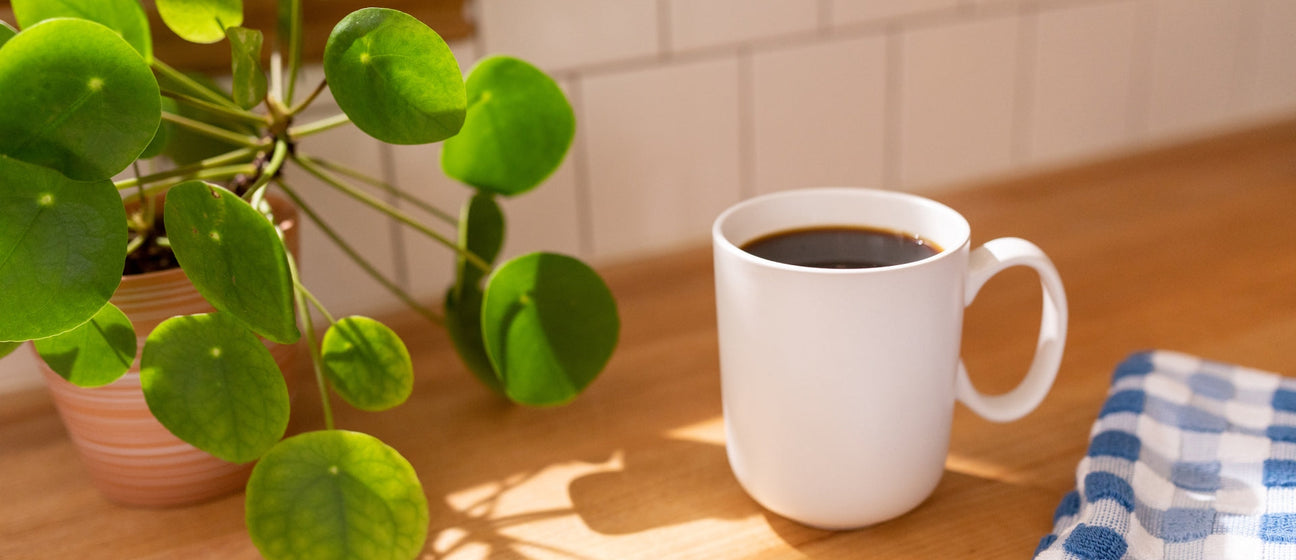 Why We Love Coffee