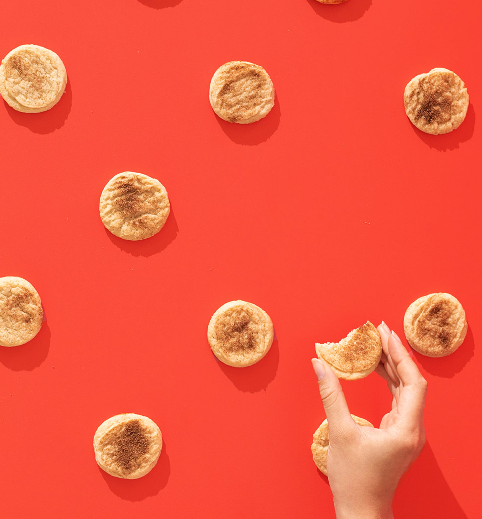cinnamon sugar cookies 