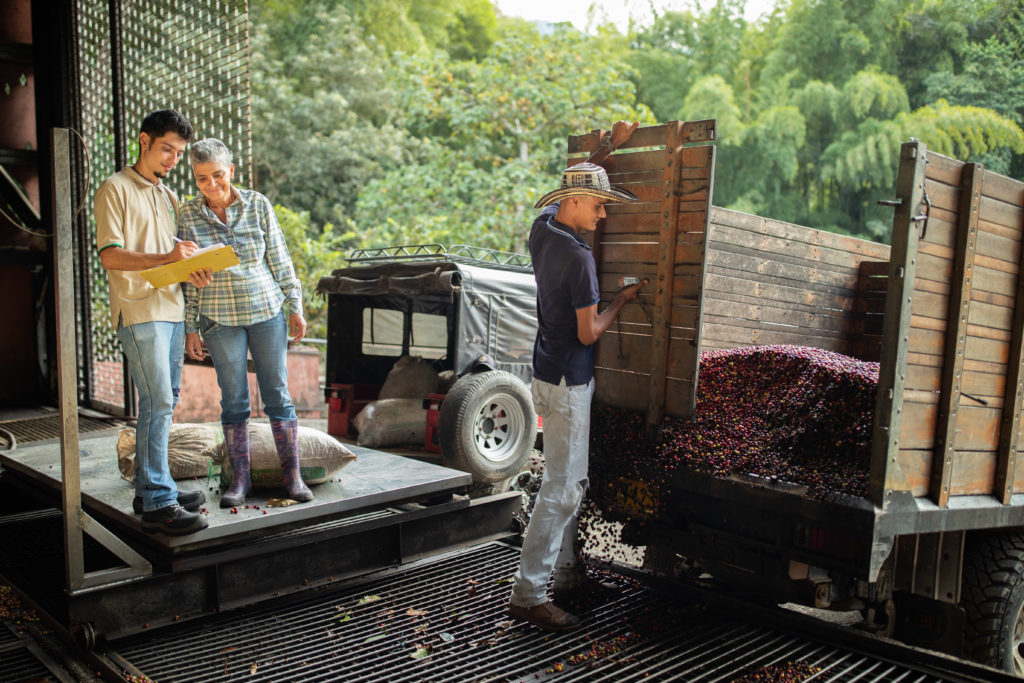 Three Cameron's Coffee farmers at the coffee mill share information.