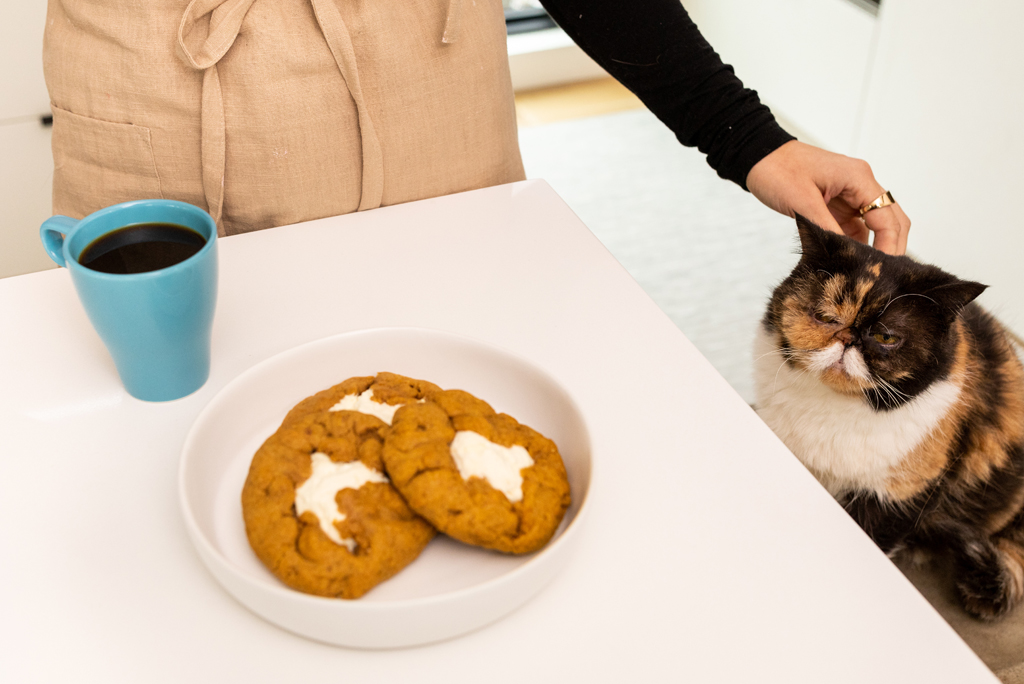 Cameron's Coffee x Pudge Cookies Pumpkin Spice Cream Cheese Filled Cookies with Pudge the Cat