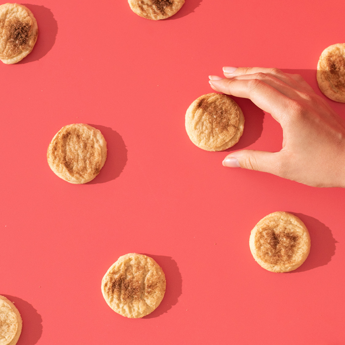 camerons-coffee-cinnamon-sugar-cookie-1-2.jpg Camerons Coffee Cinnamon Sugar Cookie