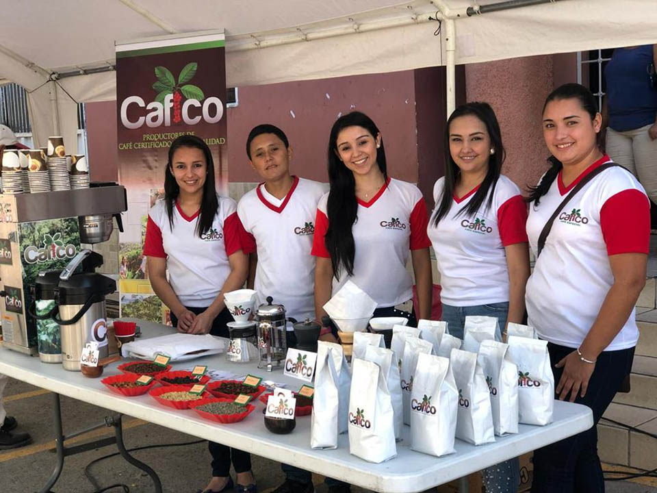 Cafico team with coffee samples