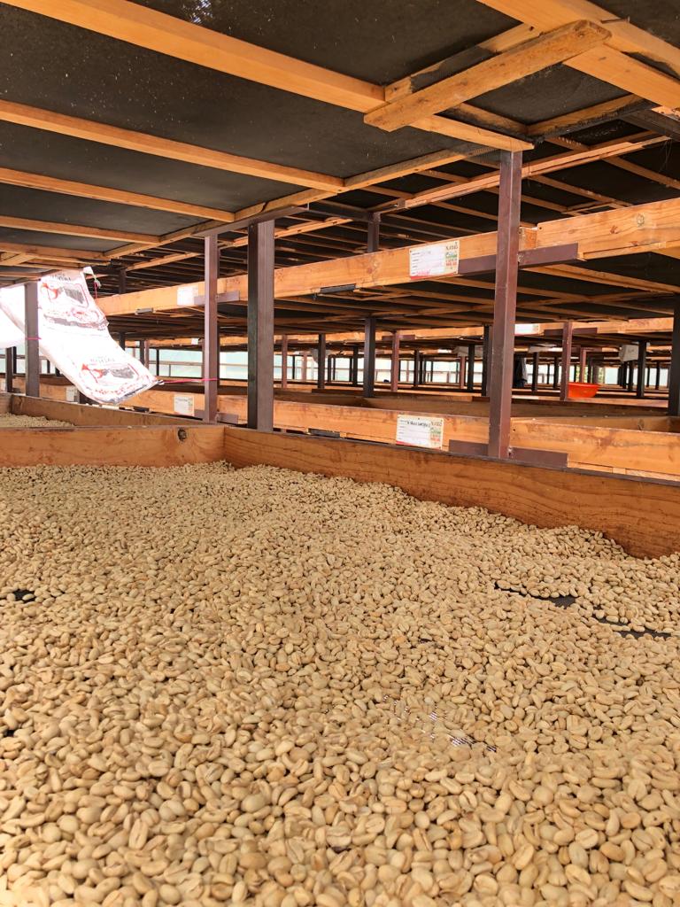 Coffee mill at CAFICO