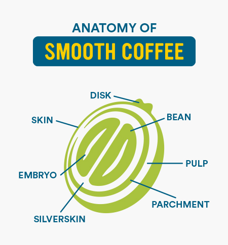 anatomy of smooth coffee diagram with coffee bean